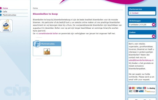 Foto van Domeinnaam webshop