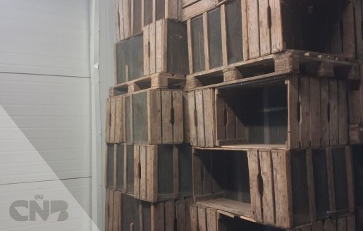 Foto van Plukkisten *TEAB !*