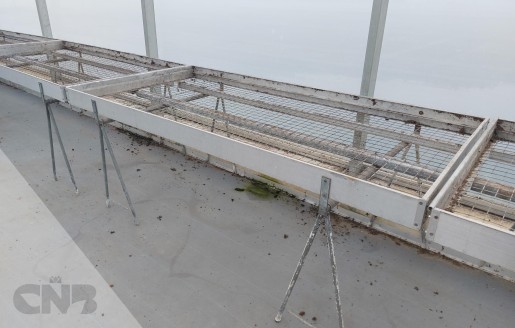 Foto van Teelttafels/Broeitafels
