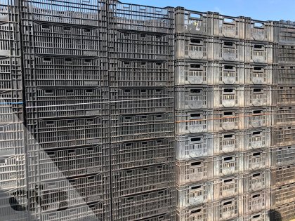 Leliekratten gebruikt