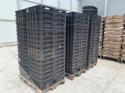 Gevraagd nestbare Ringoplast kratten