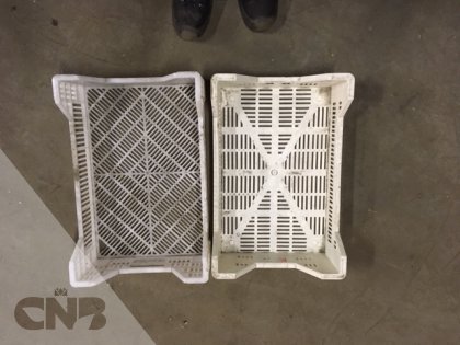 Kunststtof kratten-Bekuplast