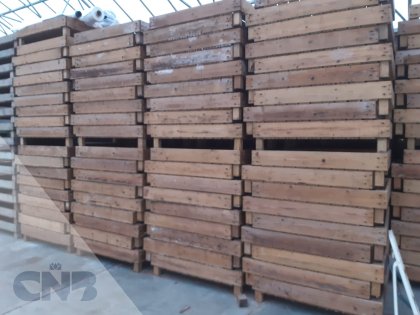 Houten grote broeibakken