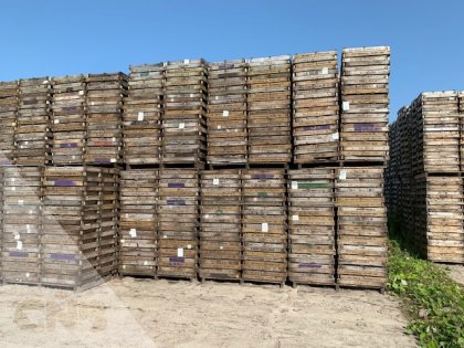 Houten gaasbakken 75x50