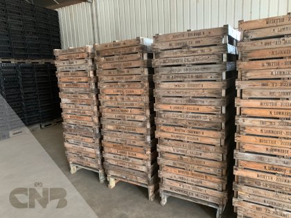 Houten gaasbakken 75x50