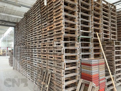Houten onderzetters 75x50