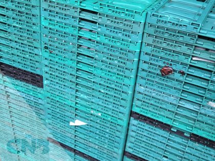 Klapkratten/Vouwkratten