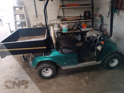 Golfwagen-Bringo