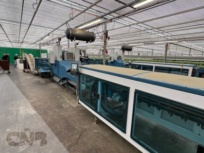 TulipStar XL-Havatec