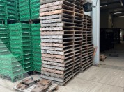 Foto van Pallets 150x100