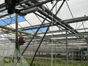 Foto van Chrysantenoogstmachine-Van den Berg