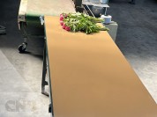Foto van Boslijn-Van den Berg