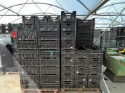 Kratten-VMH