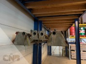 Foto van Beregeningsboom