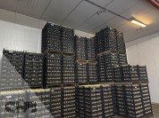 Foto van Koelcelwanden en deur