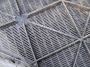 Foto van Nipla broeifust *GEVRAAGD*