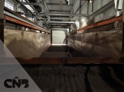 Foto van Compleet potgrond plant en bunker systeem