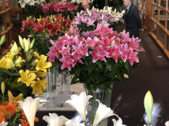 Highlighted image: Veel bloemen tijdens de CNB Leliedagen
