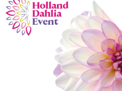 Highlighted image: Holland Dahlia Event na succesvolle eerste editie ook dit jaar weer te bezoeken!